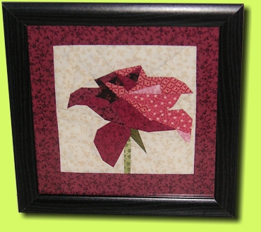 Jubil&auml;ums-Rose Petra B.