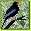 Vogelwelt 9 (Amsel)