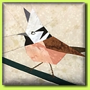 Garden Birds 9 Garden Birds 9
